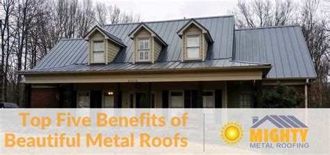 millennium home design metal roofing|75 Beautiful Metal Roof Pictures & Ideas .